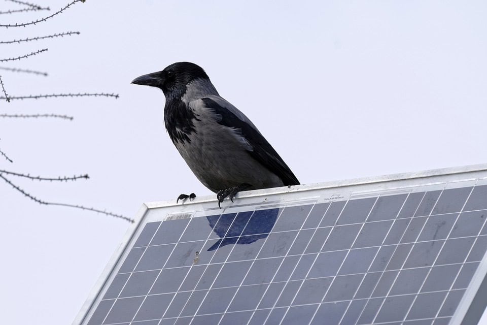 Nieuw plan: meer huur betalen in heel kleine huizen met slecht energielabel