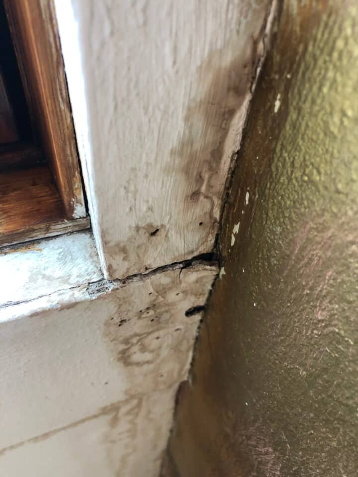 Schade aan muur en vloer door vocht- en schimmelvorming in huurwoning.