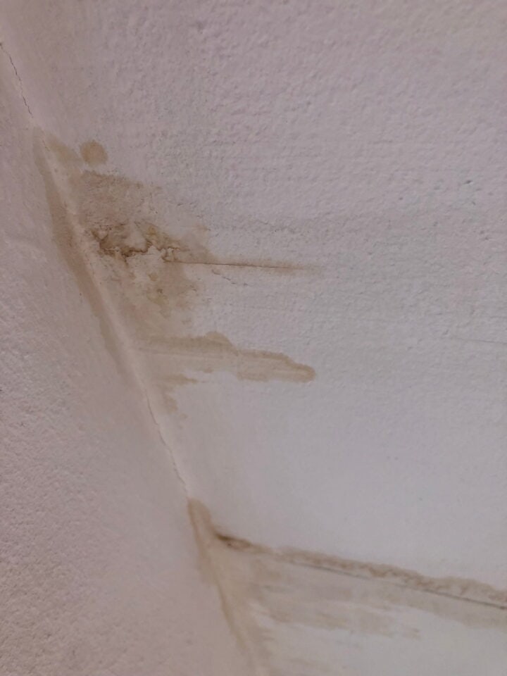 Rook in het plafond met waterschade in een huurwoning in Amsterdam.